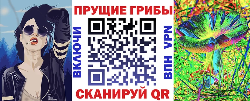 Галлюциногенные грибы Psilocybe  нарко площадка как зайти  Белогорск 
