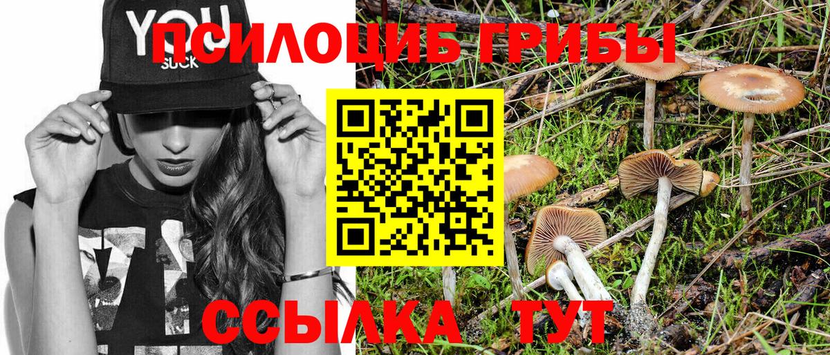 Галлюциногенные грибы MAGIC MUSHROOMS Белогорск